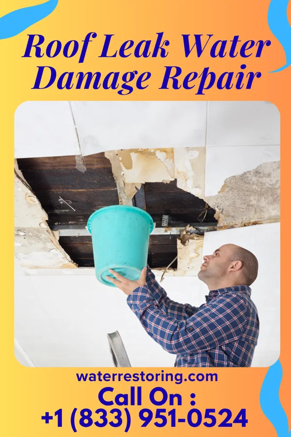 Roof Leak Water Damage Repair in Mountain Lake, MN